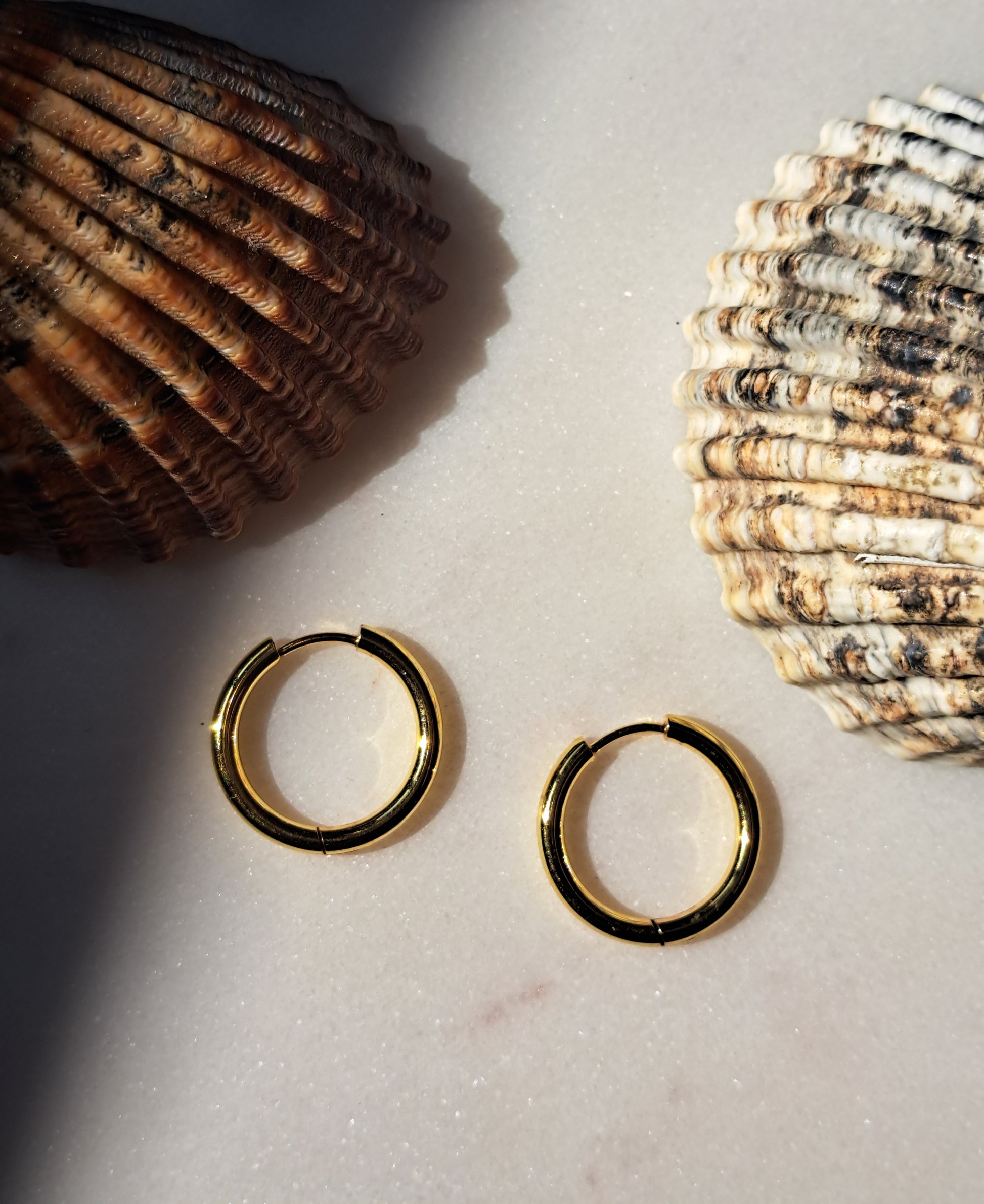 Sissy hoepel oorbellen - stainless steel - goud