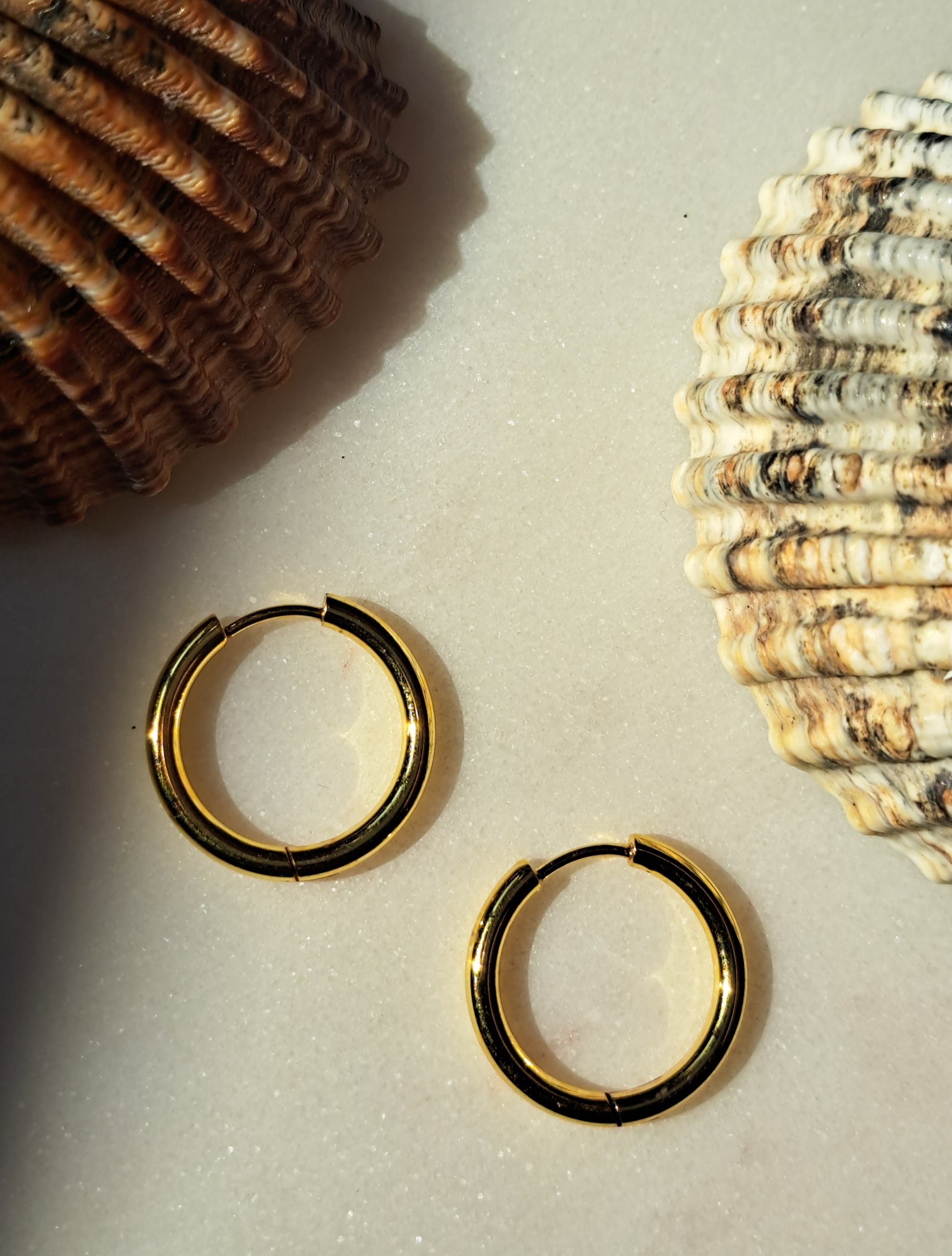 Sissy hoepel oorbellen - stainless steel - goud