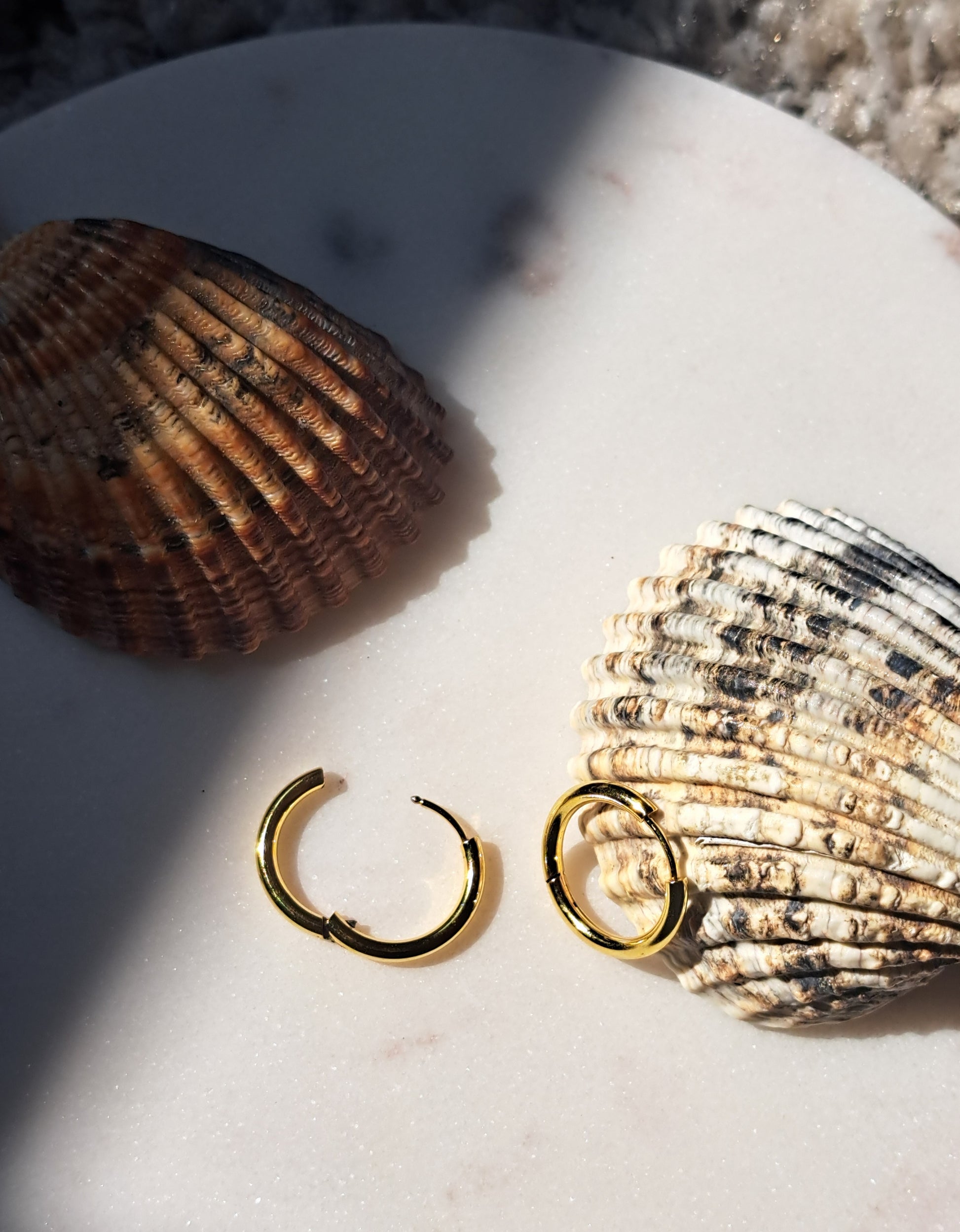 Sissy hoepel oorbellen - stainless steel - goud