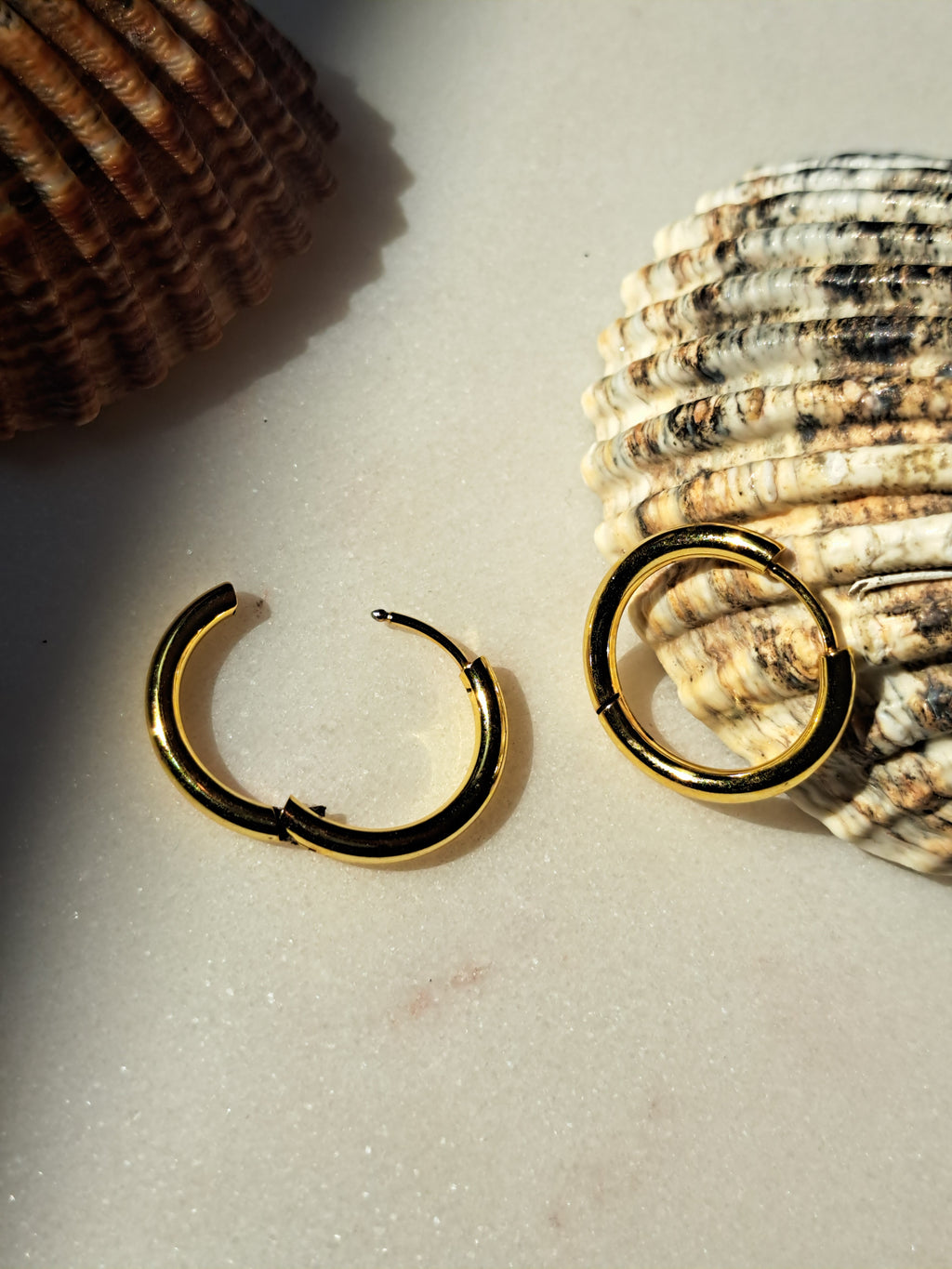 Sissy hoepel oorbellen - stainless steel - goud